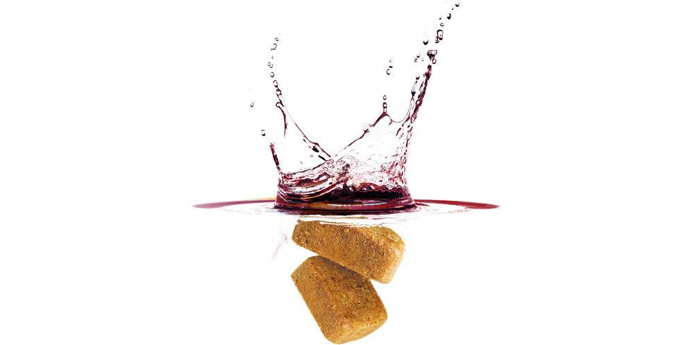 Stok (Safe and Healthy Chicken Stock)